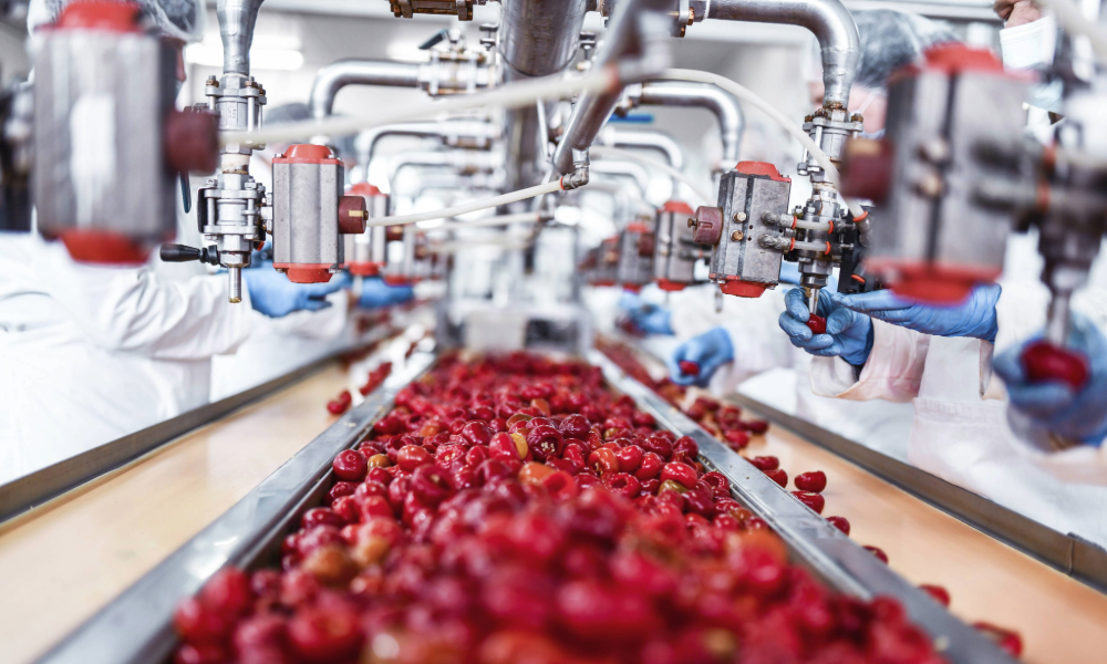 Turning Geopolitical Risk into Manufacturing Resilience 