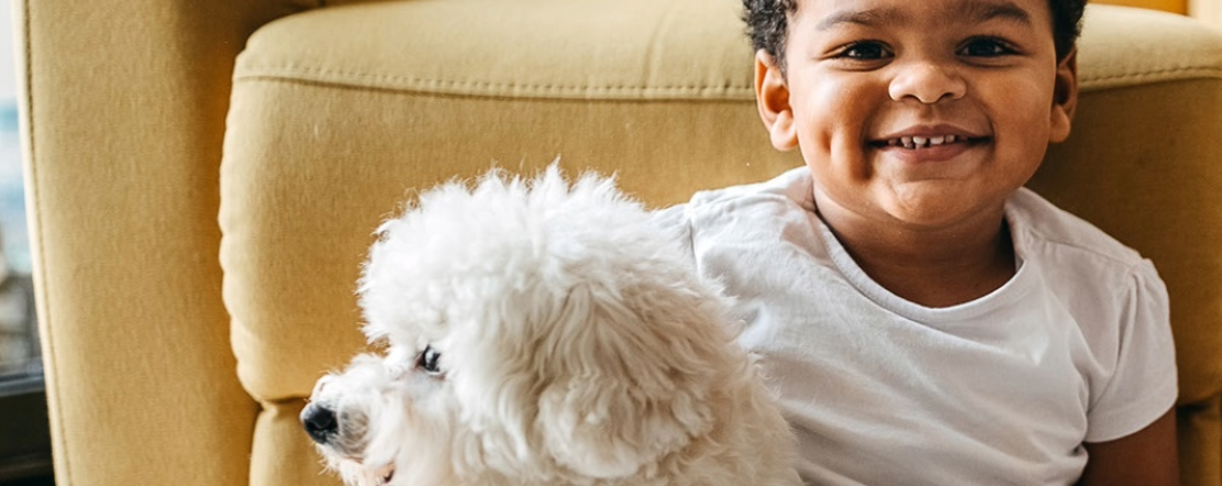 The Importance of Pet Insurance 